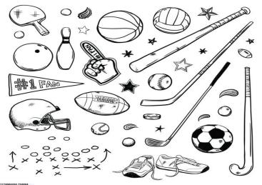 体育项目招商运营